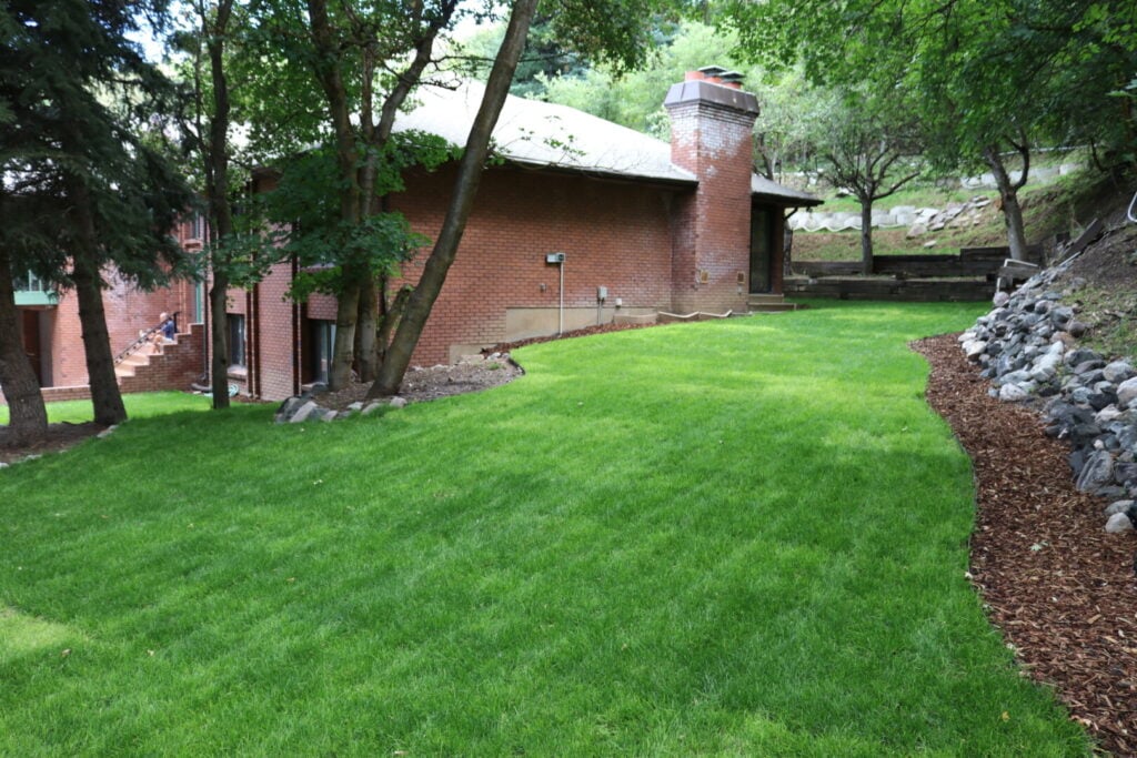 New sod install with mulch