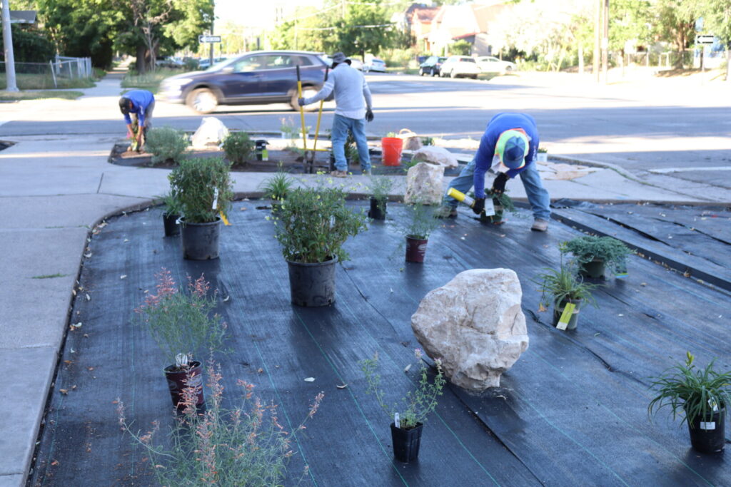 Workers landscaping public area with plants and rocks.