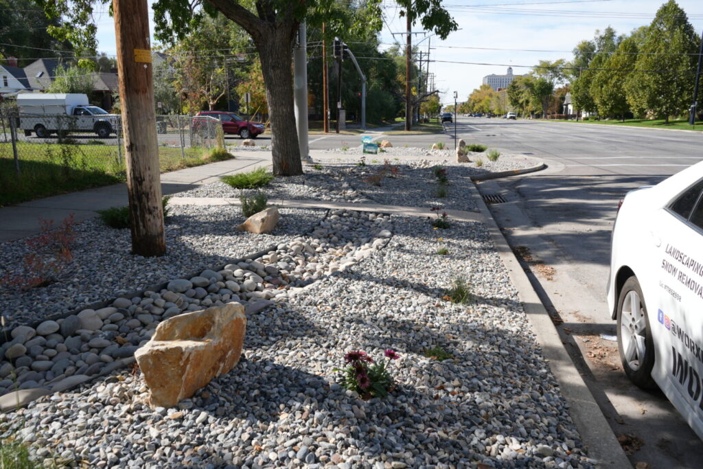 Urban xeriscaped median with rocks and plants.