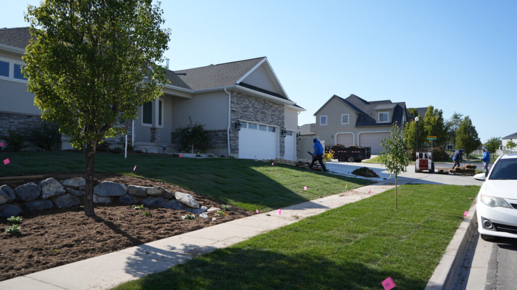 Landscaping in front of suburban homes on sunny day.