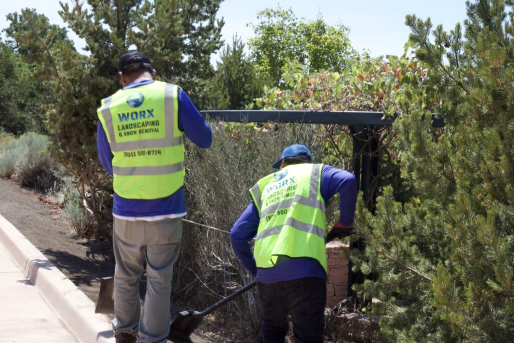 Workers landscaping on a sunny day.