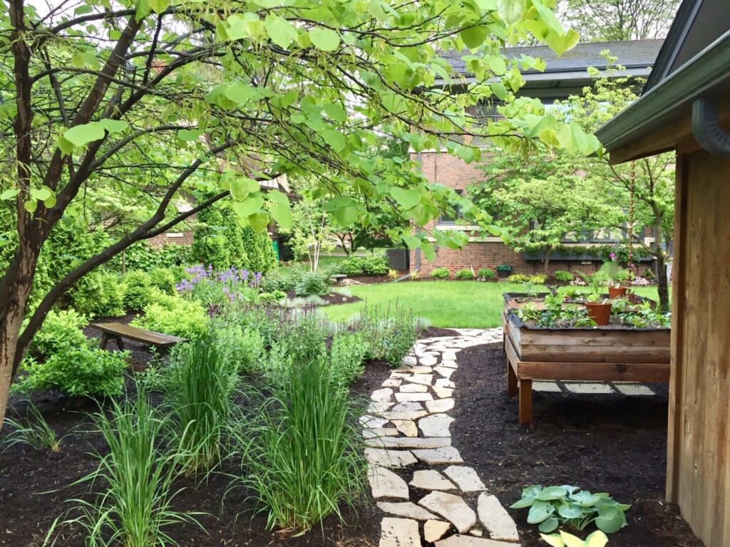 Lush garden with pathway and wooden planter boxes.