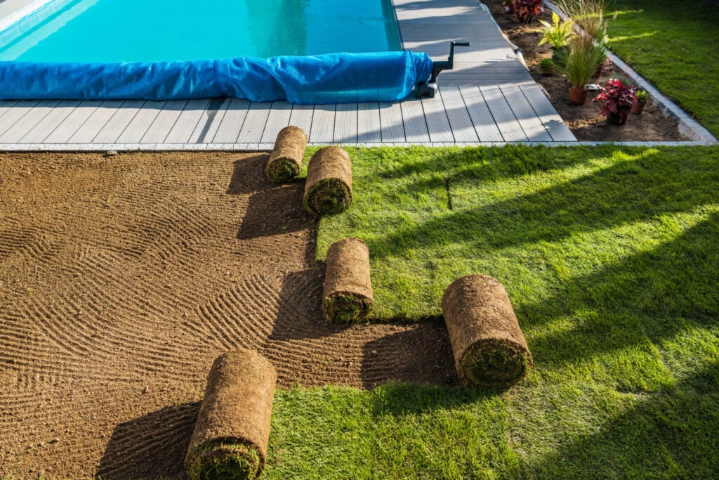 Fresh sod rolls beside a backyard pool.