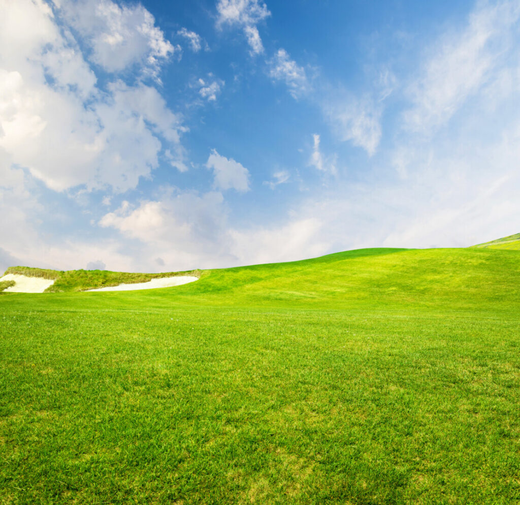 Lush green hill under clear blue sky
