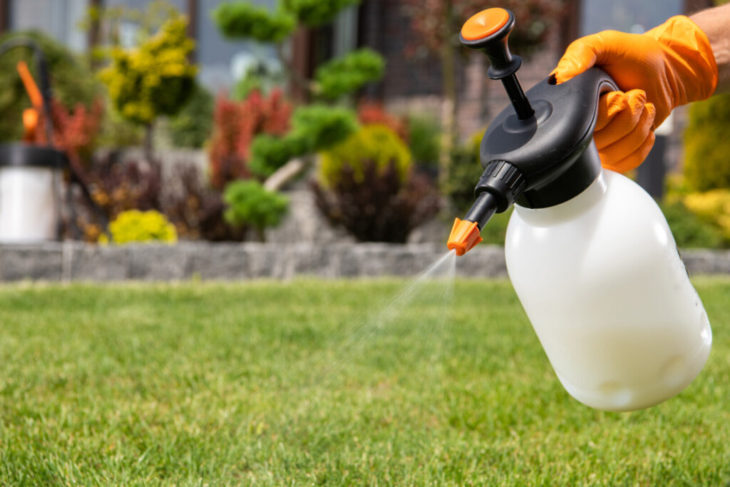 Garden hand sprayer used on lawn.
