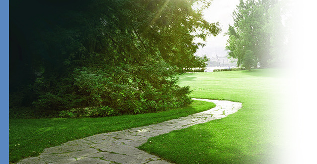 Sunny garden pathway through lush green grass.