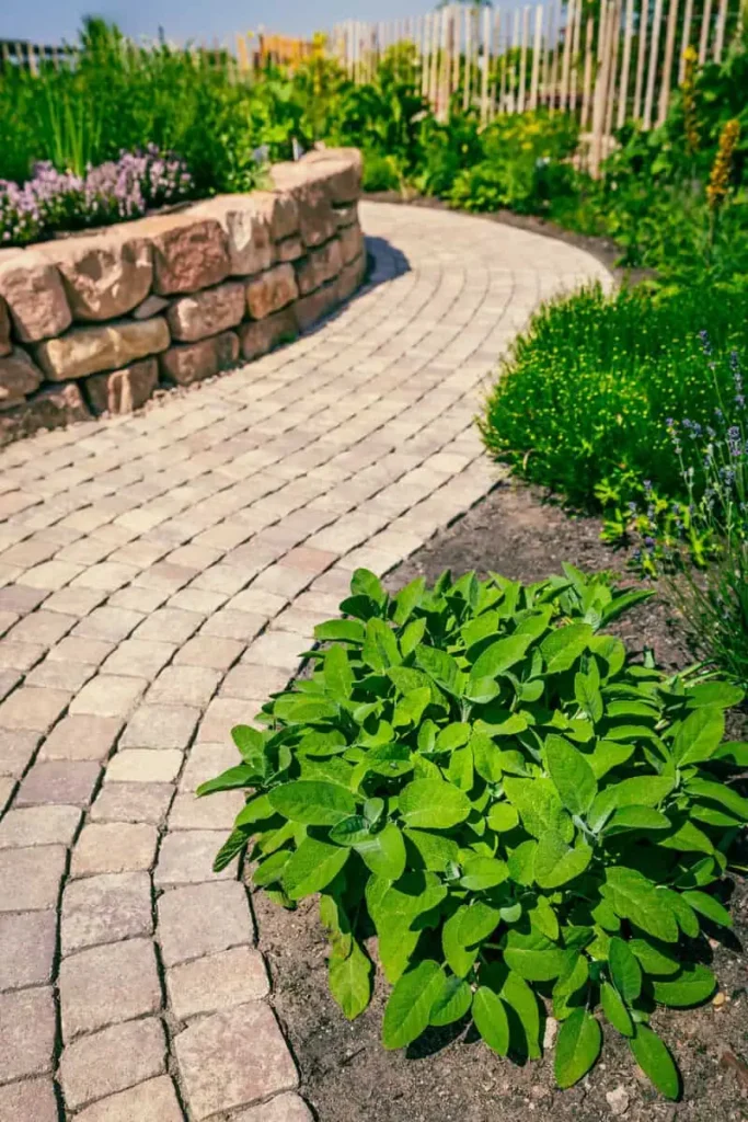 Garden path with green plants and stone wall