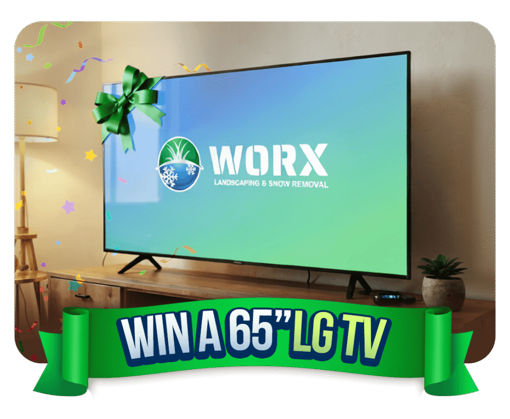 65-inch LG TV giveaway display with green bow